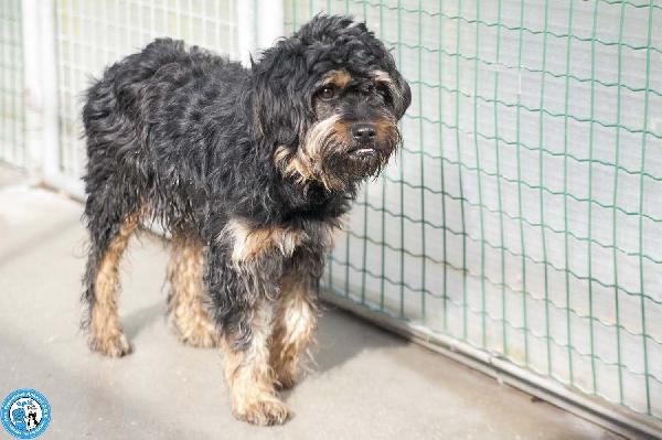 Teo: il riscatto di un piccolo guerriero Foto 5